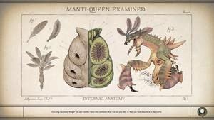 mantiqueen locations